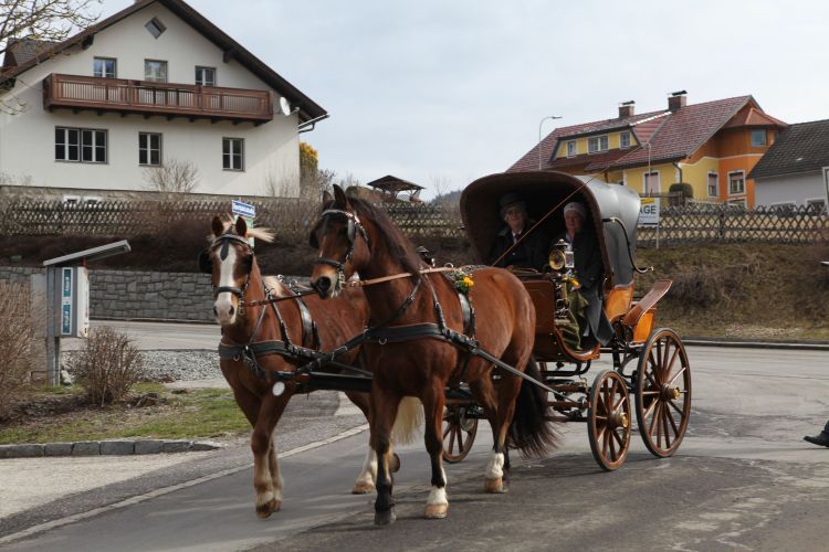 Josefimarkt 2019