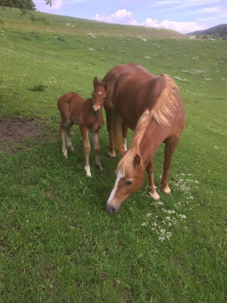 Nikita, unsere Jüngste im Bunde, eine wahre Schönheit!