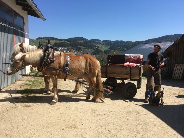 Der Hufschmied kommt mit der Kutsche zur Arbeit - authentisch!