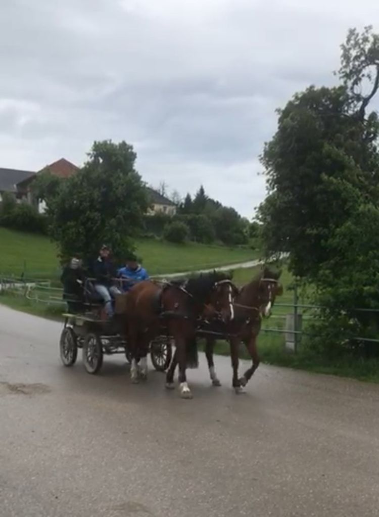 Trainingsfahrt mit Franky und Naco